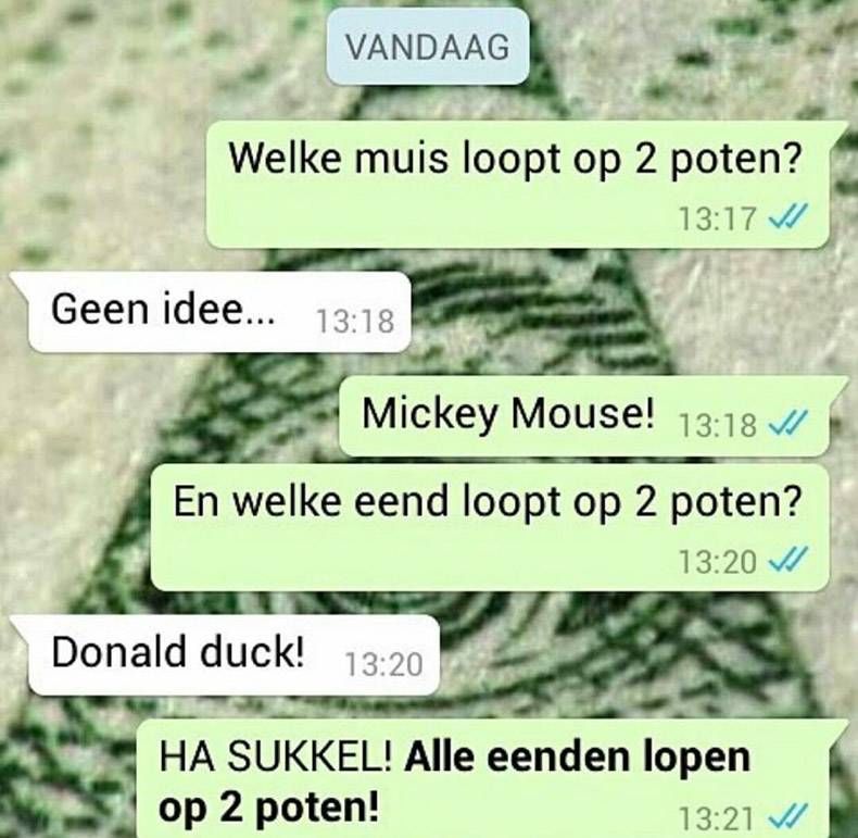 Gewoon een verzameling hilarische foto's #838