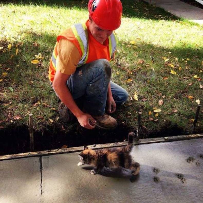Gewoon een verzameling hilarische foto's #743