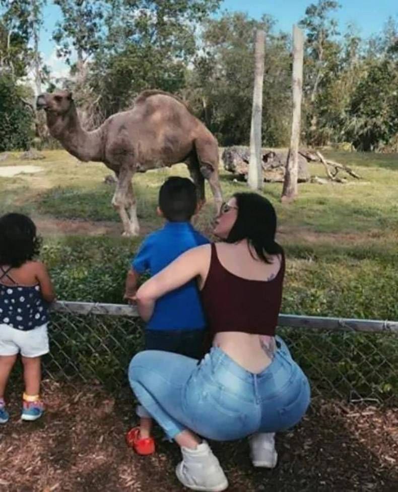Gewoon een verzameling hilarische foto's #1301