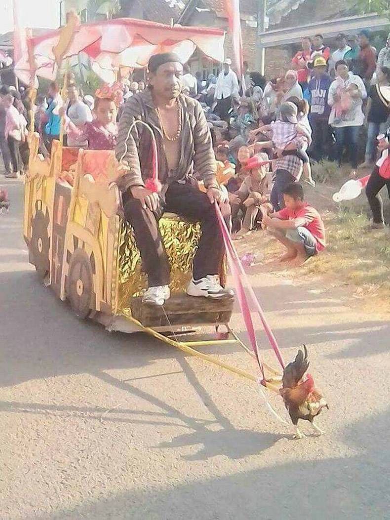 Gewoon een verzameling hilarische foto's #1144