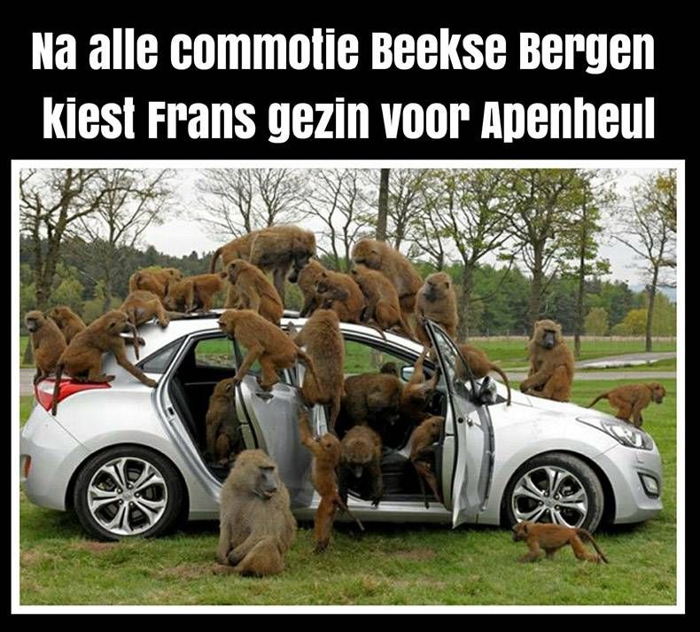 Gewoon een verzameling hilarische foto's #970