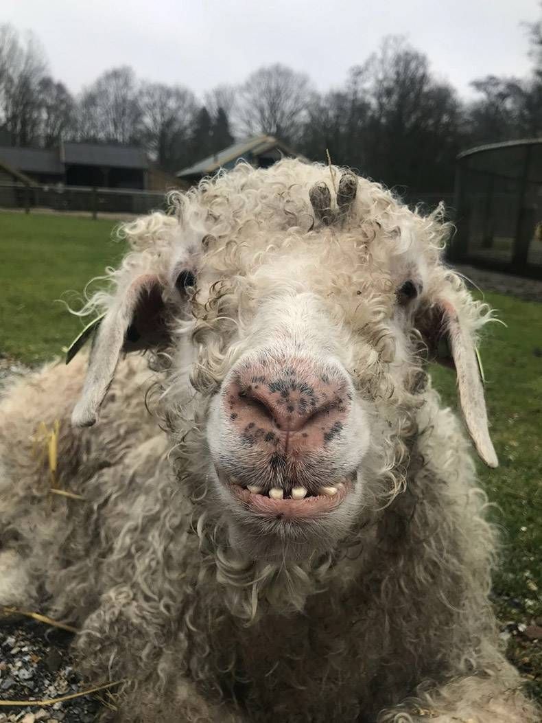 Gewoon een verzameling hilarische foto's #939