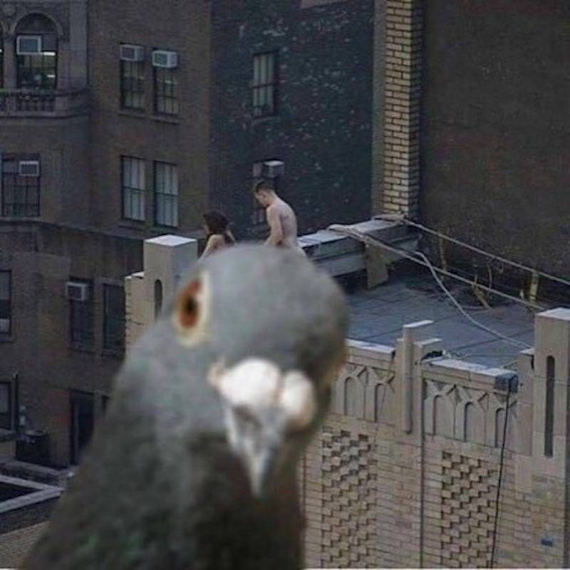 Gewoon een verzameling hilarische foto’s #843