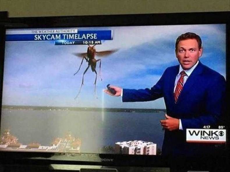 Gewoon een verzameling hilarische foto's #1156