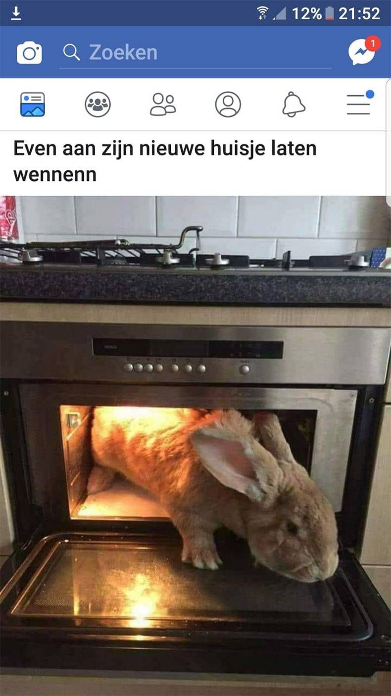 Gewoon een verzameling hilarische foto's #1063