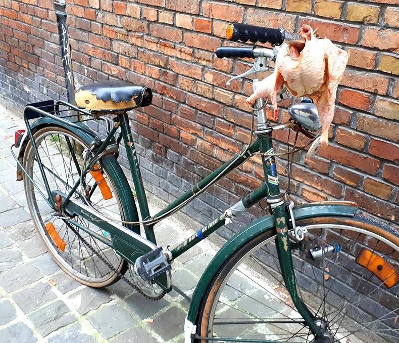 Gewoon een verzameling hilarische foto's #1055