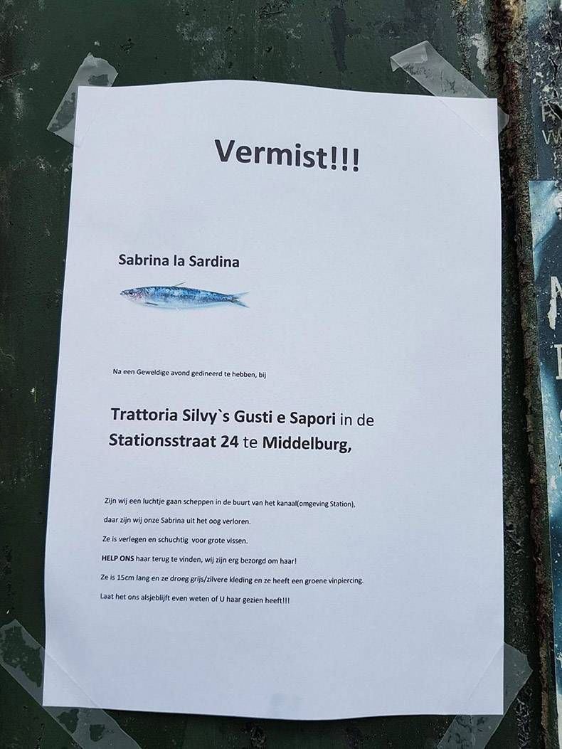 Gewoon een verzameling hilarische foto's #953