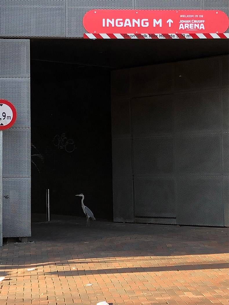 Gewoon een verzameling hilarische foto's #1117