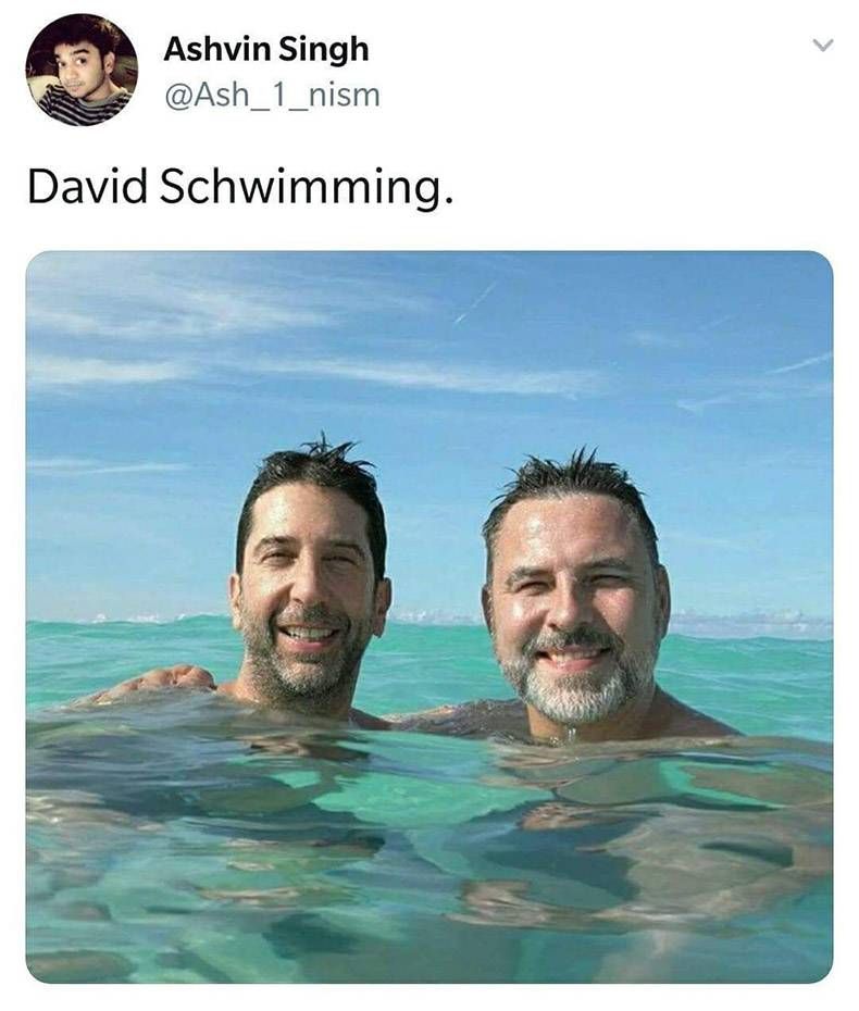 Gewoon een verzameling hilarische foto's #975