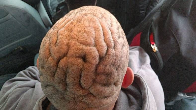 Gewoon een verzameling hilarische foto's #869