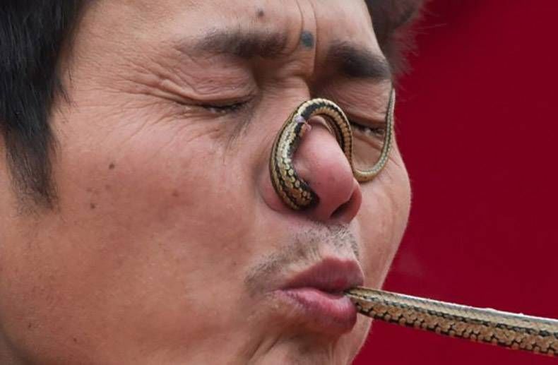 Gewoon een verzameling hilarische foto's #831