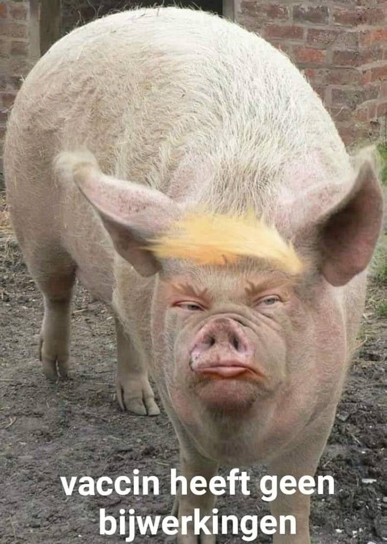 Gewoon een verzameling hilarische foto's #1346