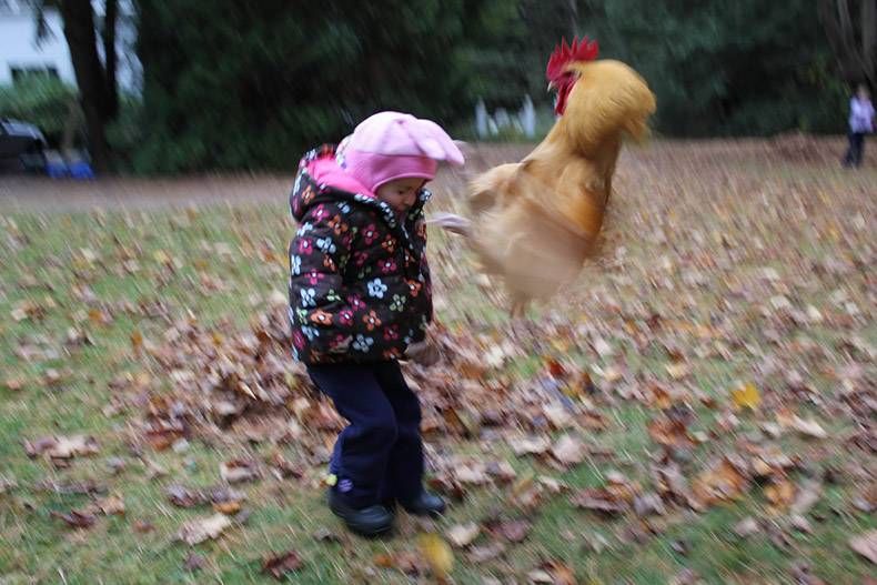 Gewoon een verzameling hilarische foto's #1171