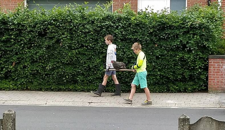 Gewoon een verzameling hilarische foto's #973