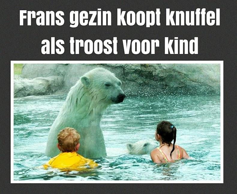 Gewoon een verzameling hilarische foto's #970