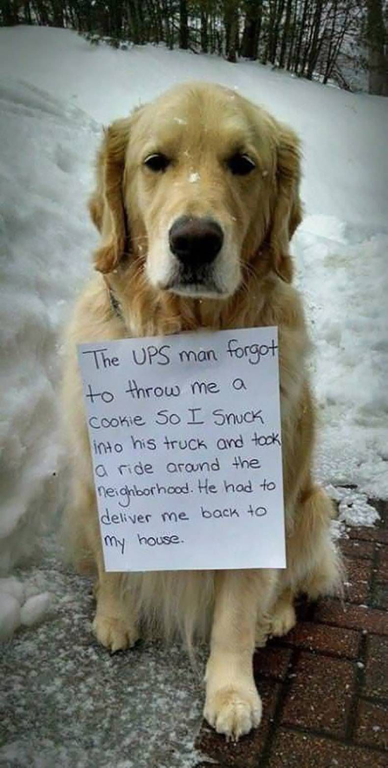 Gewoon een verzameling hilarische foto's #900