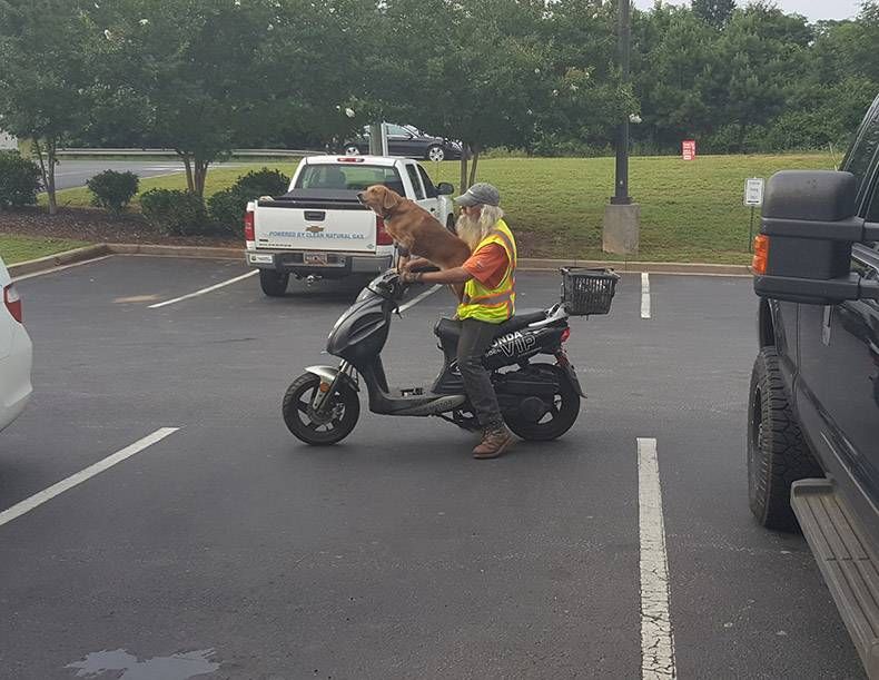 Gewoon een verzameling hilarische foto's #831