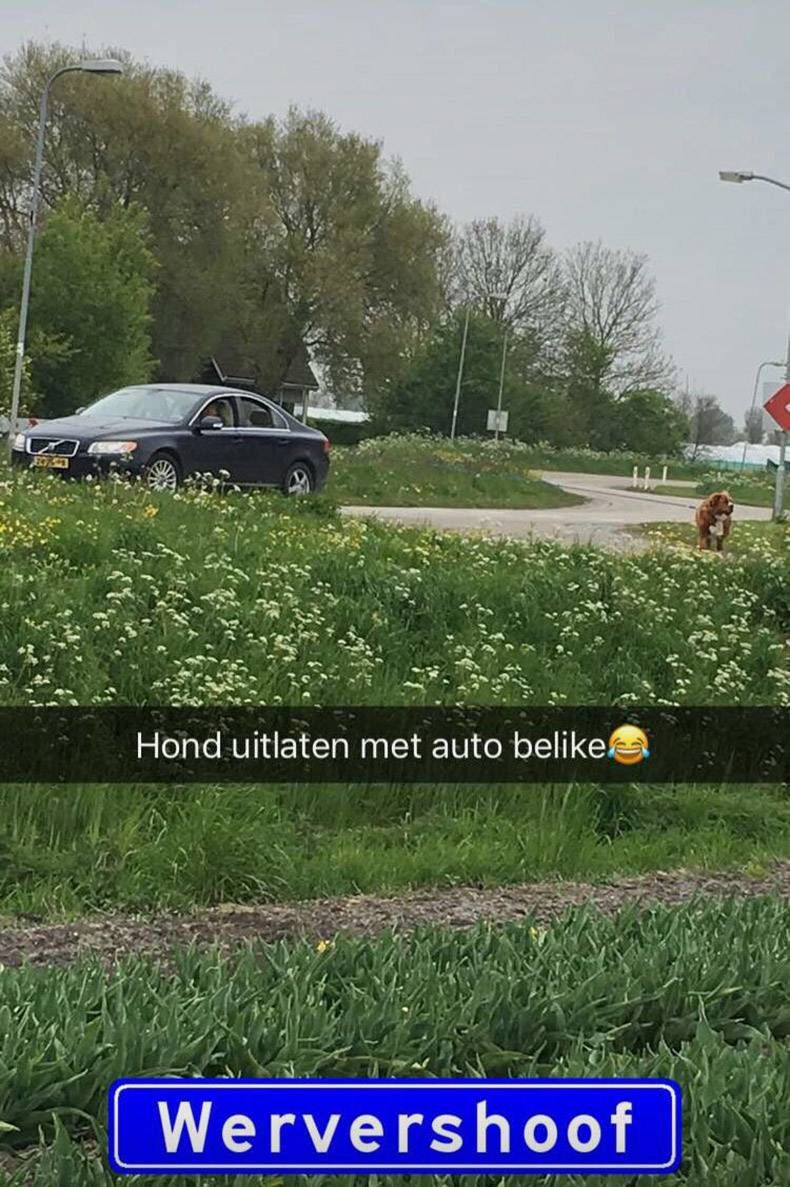 Gewoon een verzameling hilarische foto’s #809