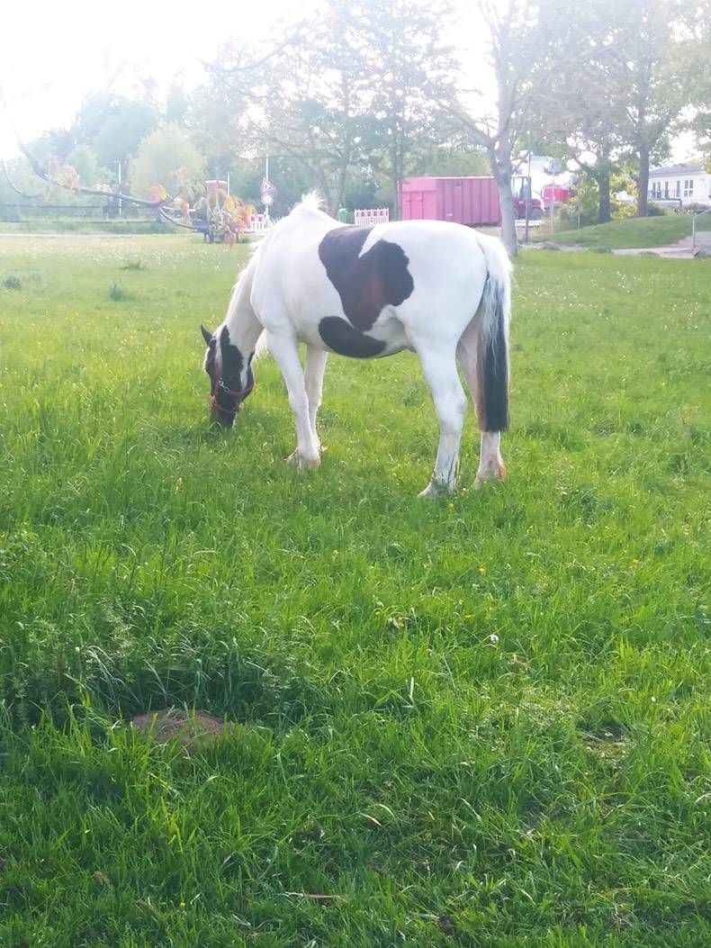Gewoon een verzameling hilarische foto's #1280