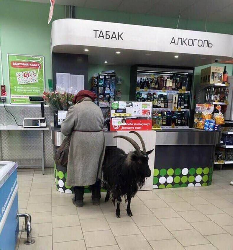 Gewoon een verzameling hilarische foto's #1124