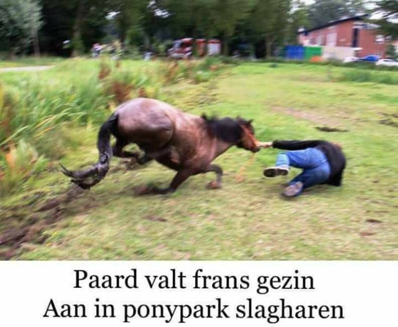 Gewoon een verzameling hilarische foto's #970
