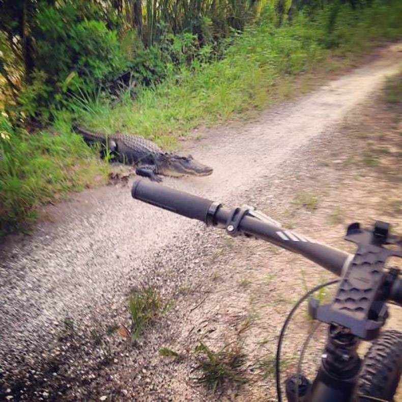 Gewoon een verzameling hilarische foto’s #978
