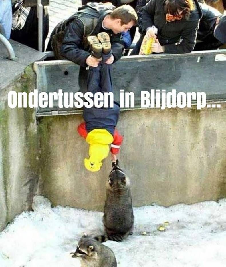 Gewoon een verzameling hilarische foto's #970