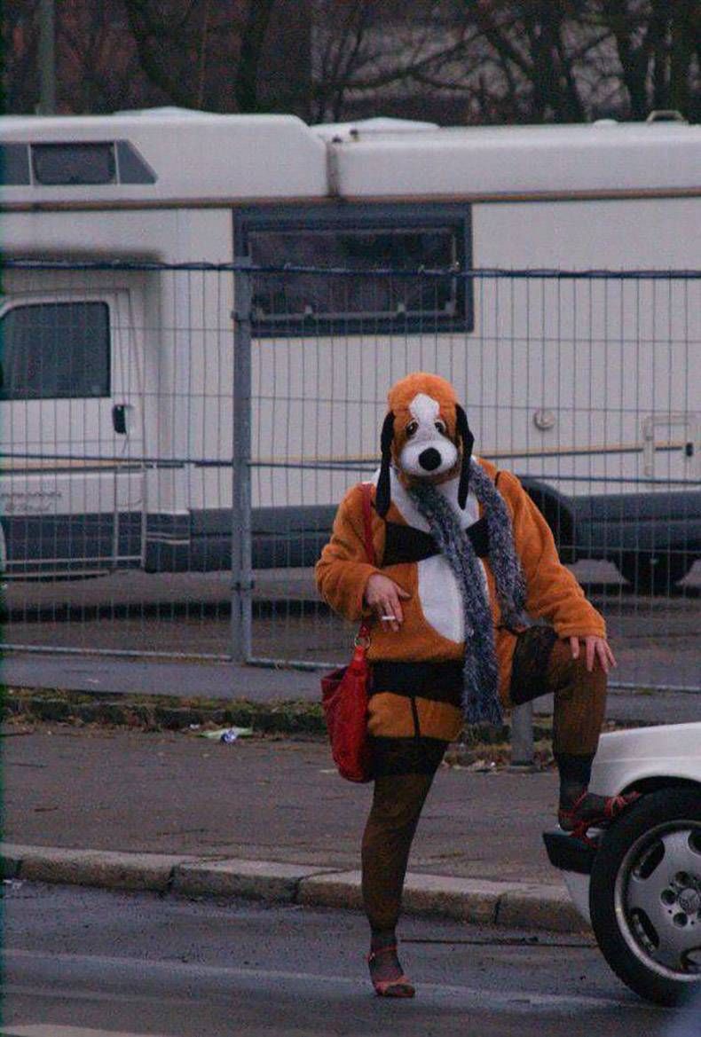 Gewoon een verzameling hilarische foto's #930