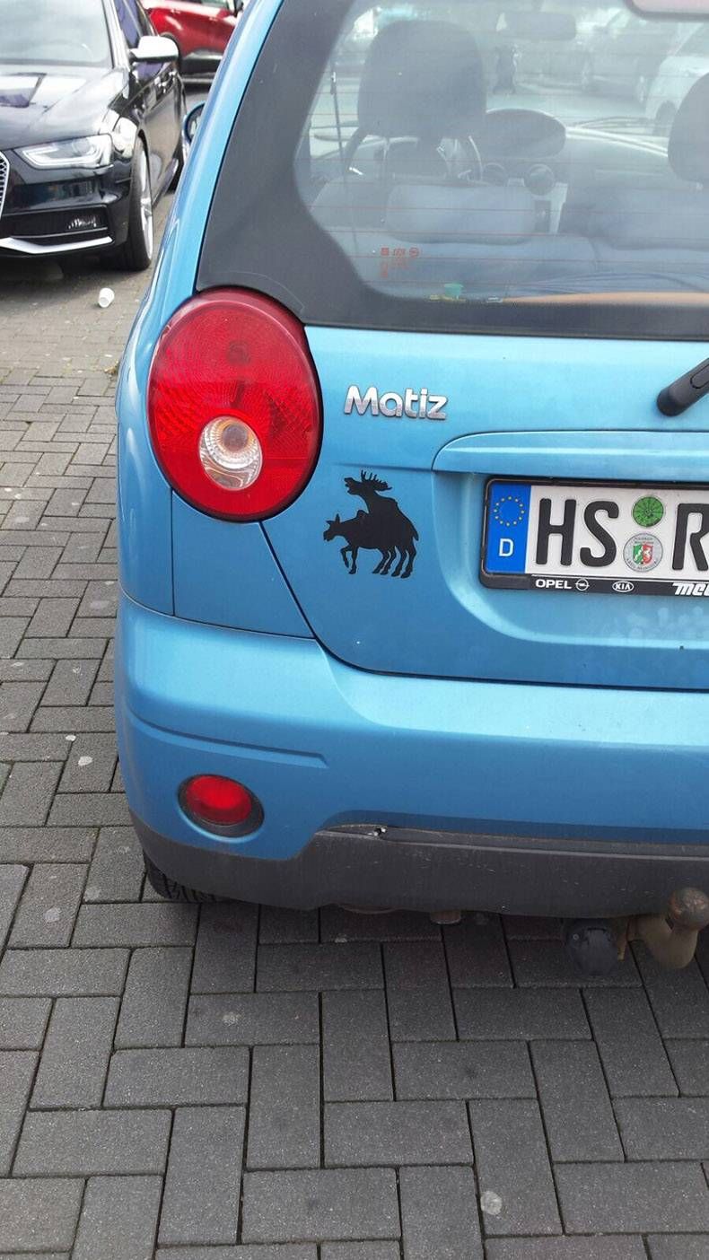 Gewoon een verzameling hilarische foto's #813