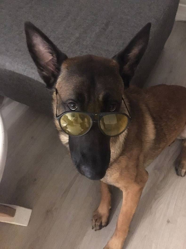 Gewoon een verzameling hilarische foto's #764