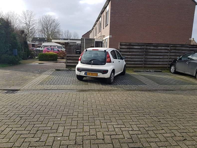 Gewoon een verzameling hilarische foto’s #1245