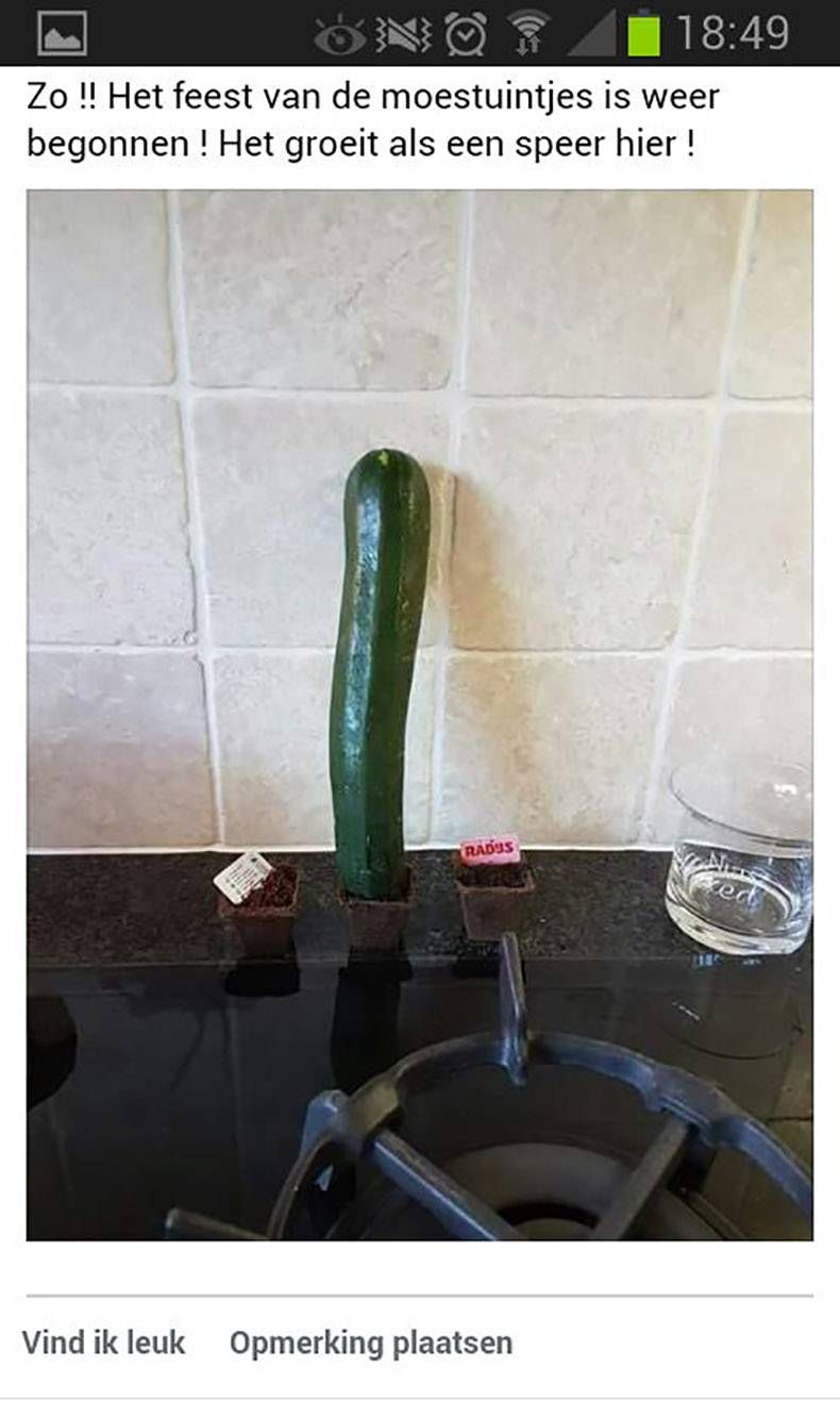 Gewoon een verzameling hilarische foto's #938