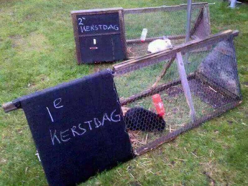 Gewoon een verzameling hilarische foto's #754