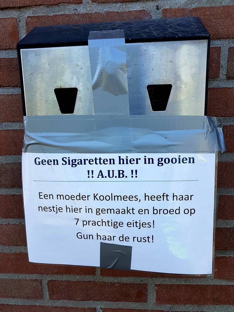 Gewoon een verzameling hilarische foto’s #821