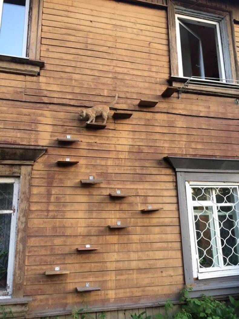 Gewoon een verzameling hilarische foto's #1136