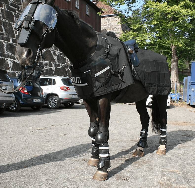Gewoon een verzameling hilarische foto's #929