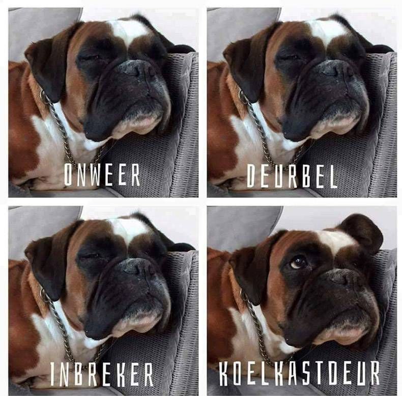 Gewoon een verzameling hilarische foto's #919