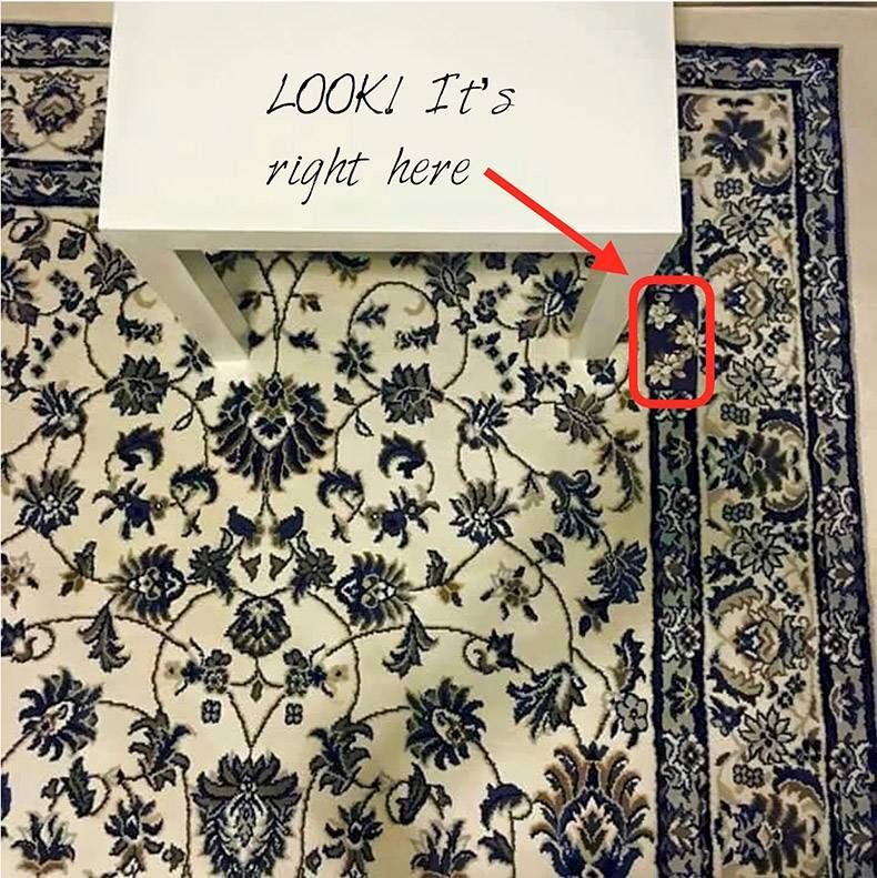 Gewoon een verzameling hilarische foto's #876