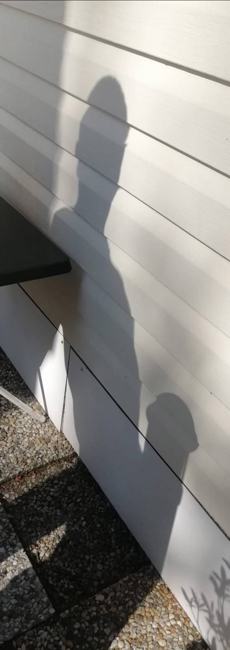 Gewoon een verzameling hilarische foto's #1277