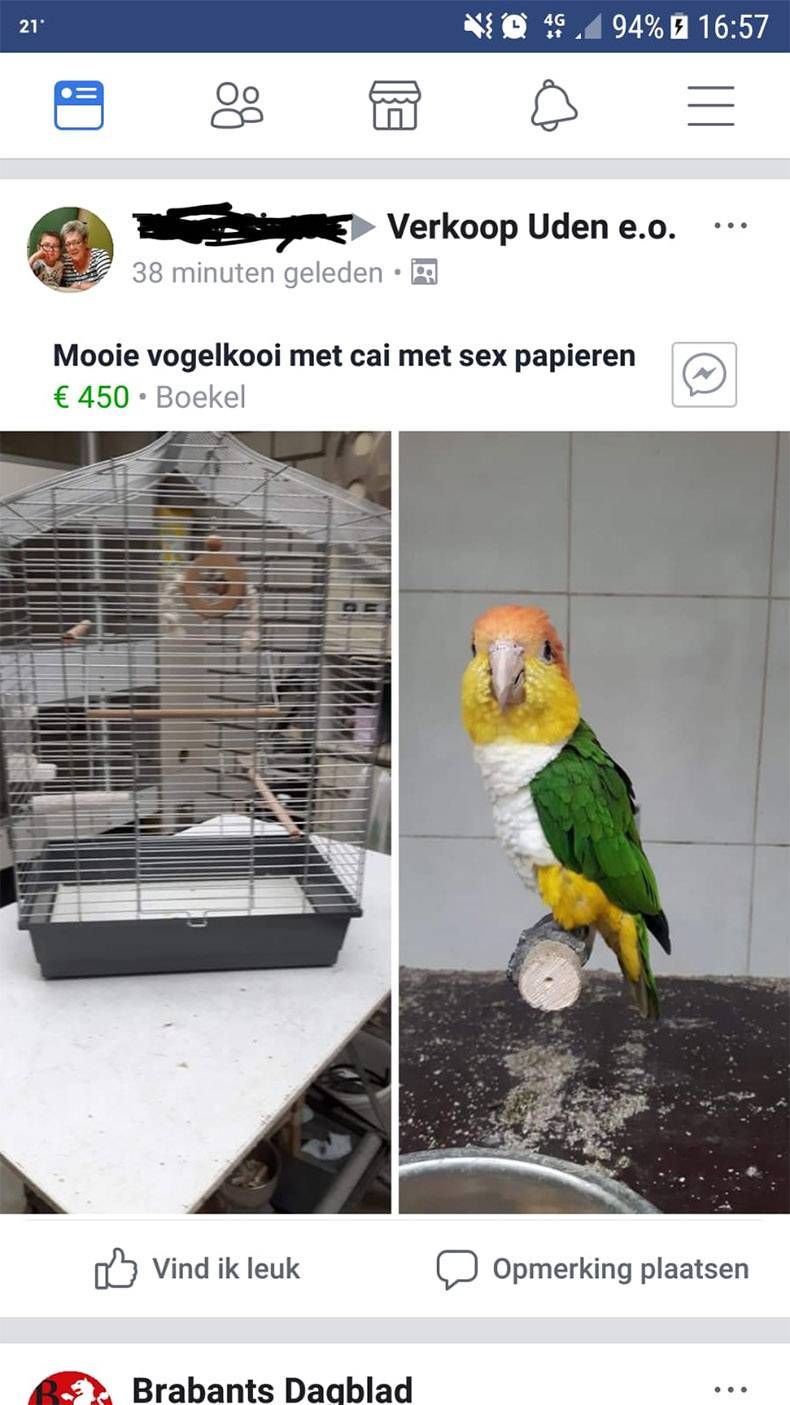 Gewoon een verzameling hilarische foto's #995