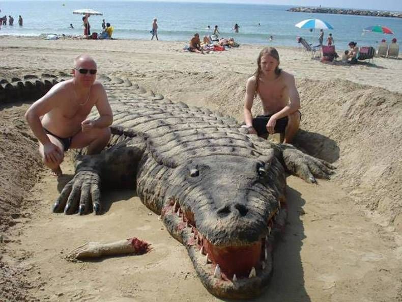 Gewoon een verzameling hilarische foto's #989