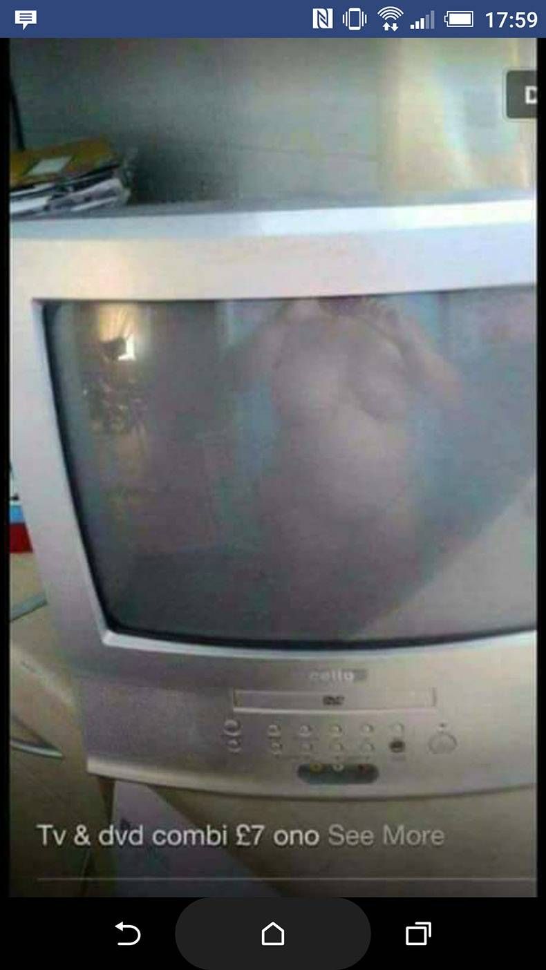 Gewoon een verzameling hilarische foto's #864