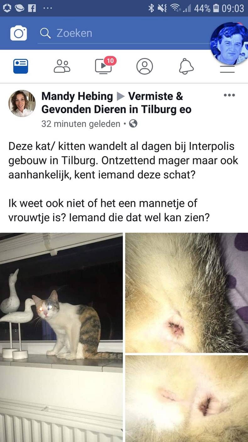 Gewoon een verzameling hilarische foto's #1160
