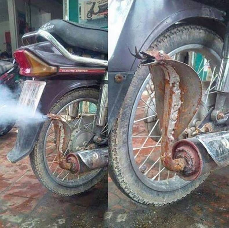 Gewoon een verzameling hilarische foto's #1136