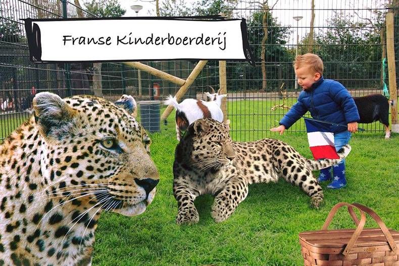 Gewoon een verzameling hilarische foto's #970