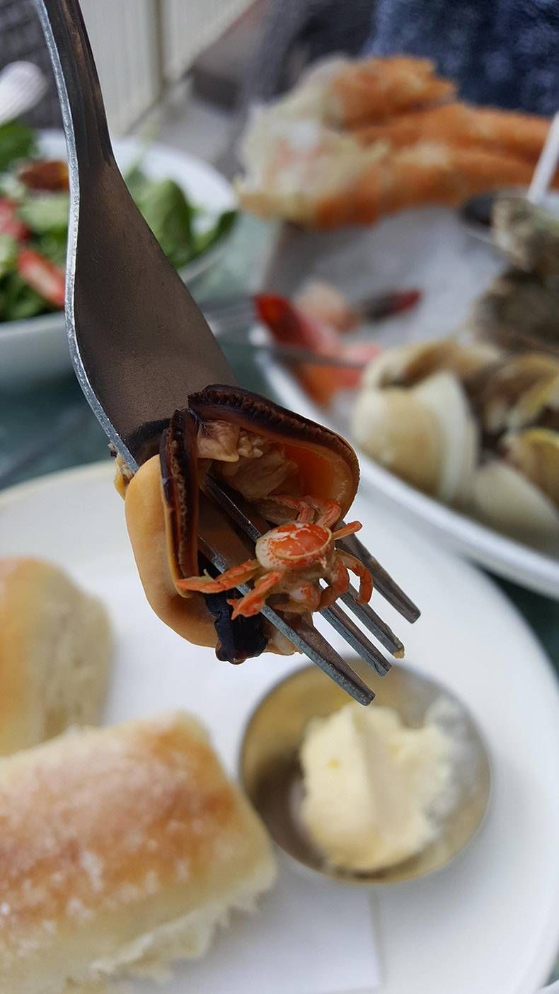 Gewoon een verzameling hilarische foto’s #802
