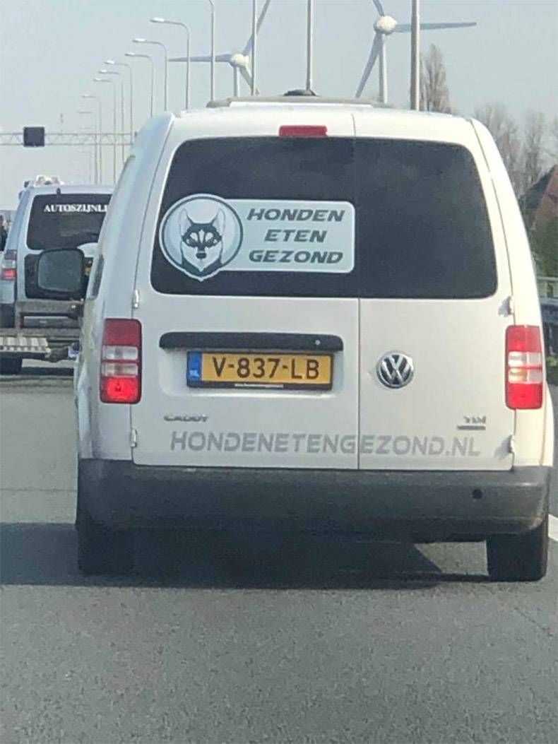 Gewoon een verzameling hilarische foto's #1113