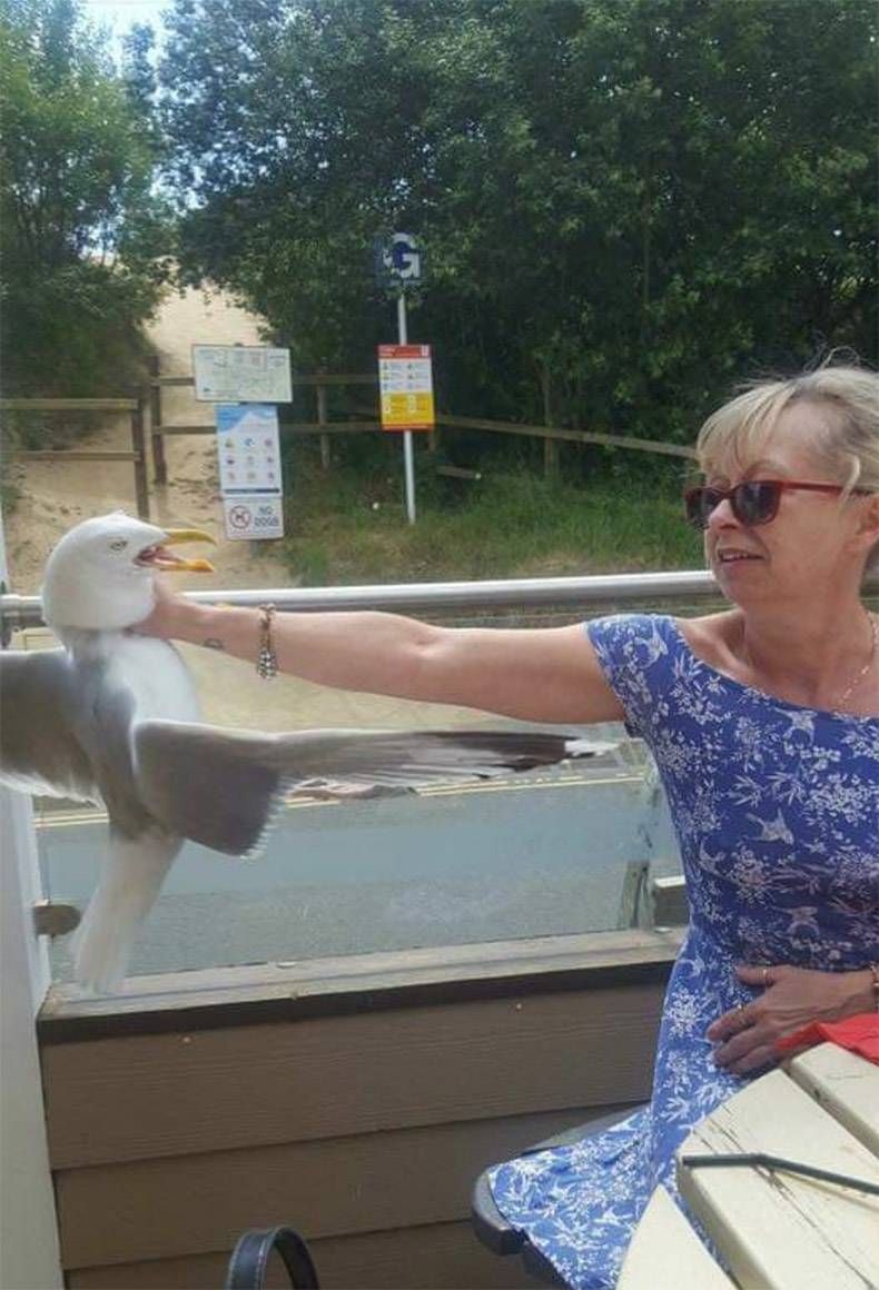Gewoon een verzameling hilarische foto’s #1145