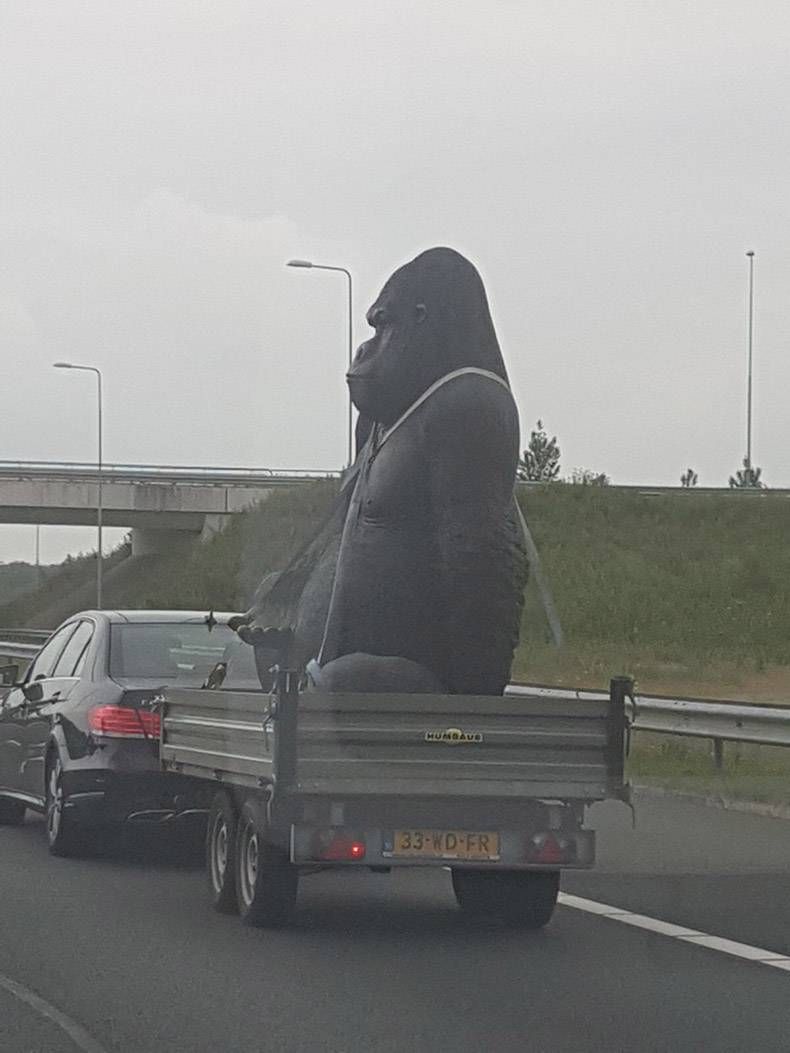 Gewoon een verzameling hilarische foto’s #821