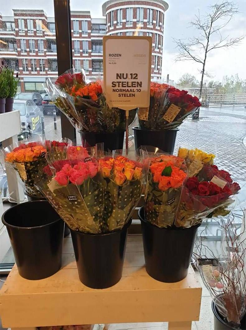Gewoon een verzameling hilarische foto's #1114
